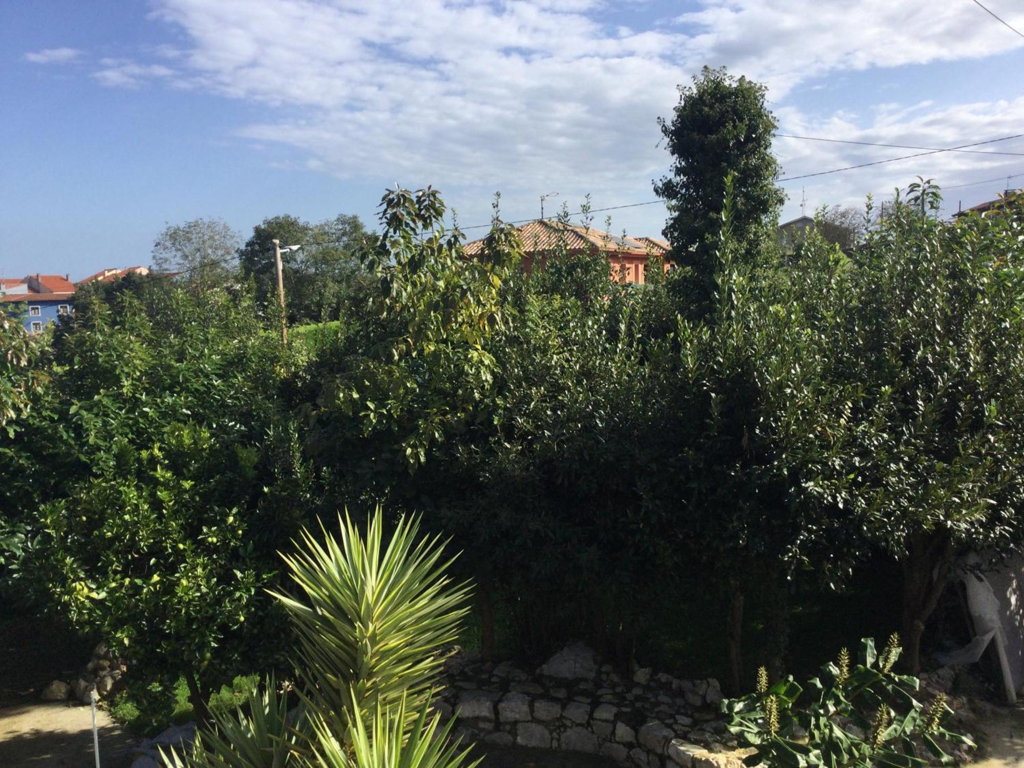 Casa Jardin Rocablanca Llanes Villa Celorio  Ngoại thất bức ảnh